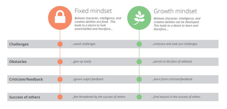 Adopting a growth mindset