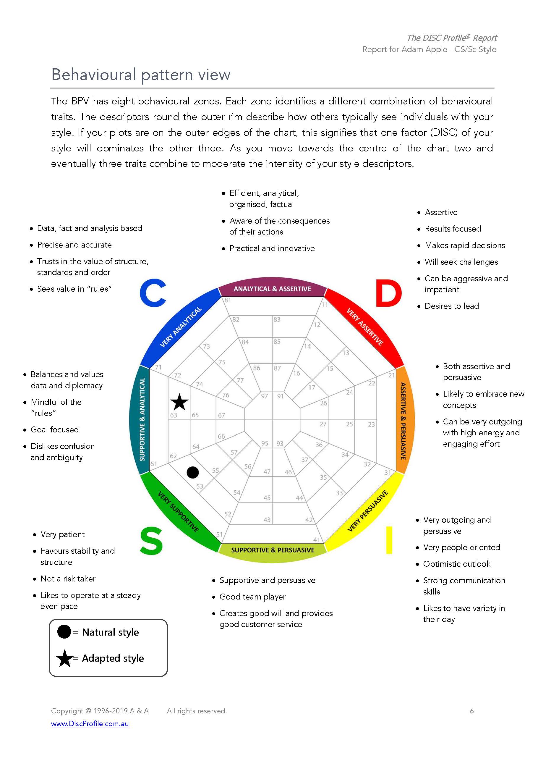 DISC report